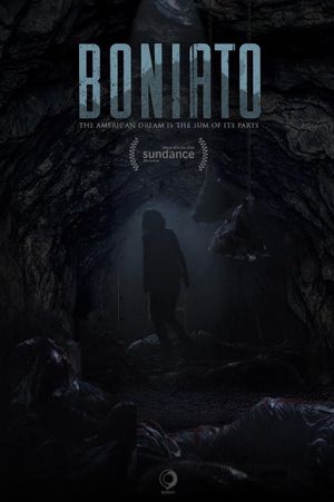 Boniato's poster