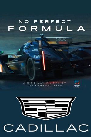 No Perfect Formula's poster