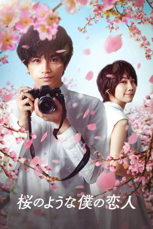 Love Like the Falling Petals's poster