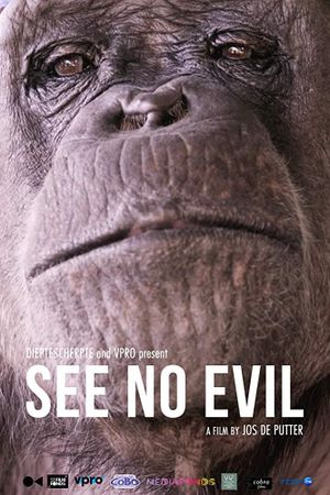 See No Evil's poster