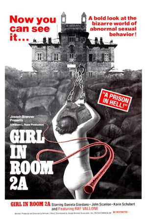 The Girl in Room 2A's poster