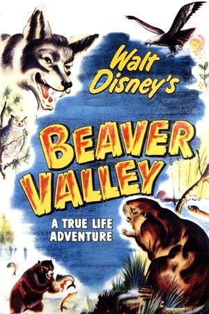 Beaver Valley's poster