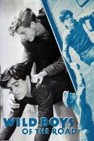 Wild Boys of the Road's poster