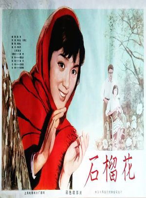 Shi liu hua's poster