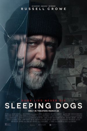 Sleeping Dogs's poster