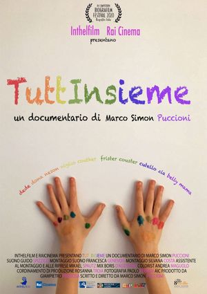 Tuttinsieme's poster