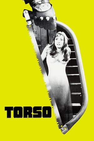 Torso's poster