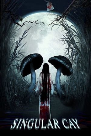 Singular Puzzle's poster