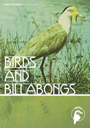 Birds and Billabongs's poster