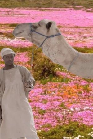 The Future Was Desert's poster