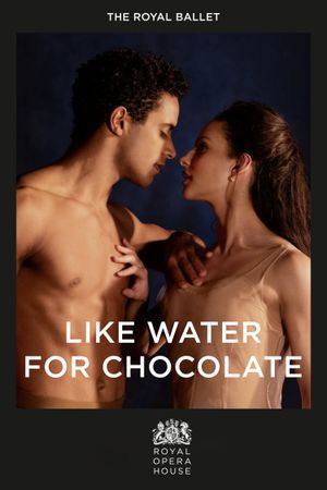 Like Water for Chocolate's poster