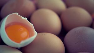 The Softening of the Egg's poster