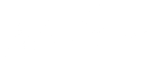 Max's poster