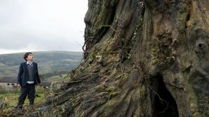 A Monster Calls's poster