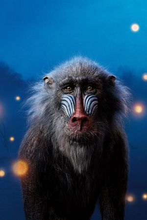 The Lion King's poster