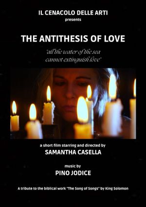 The Antithesis of Love's poster image