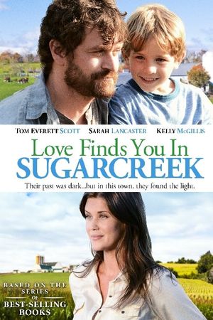 Love Finds You In Sugarcreek's poster