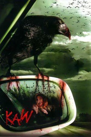 Kaw's poster