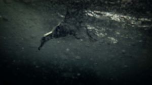 Leviathan's poster