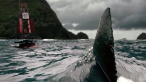 The Shallows's poster