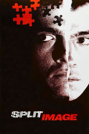 Split Image's poster