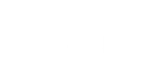 Metamorphosis's poster