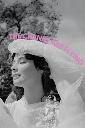 The Cranes Are Flying's poster