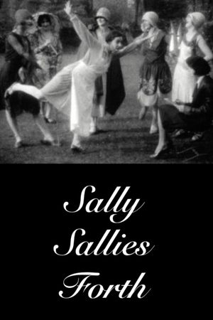 Sally Sallies Forth's poster image