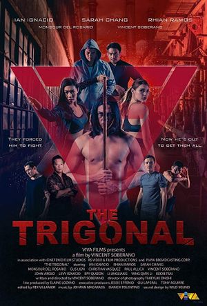 The Trigonal: Fight for Justice's poster image