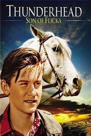 Thunderhead: Son of Flicka's poster