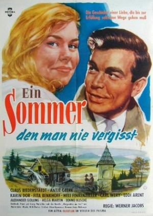 A Summer You Will Never Forget's poster