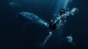 47 Meters Down's poster