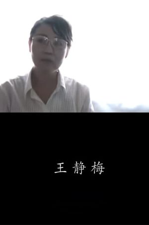 Jingmei Wang's poster