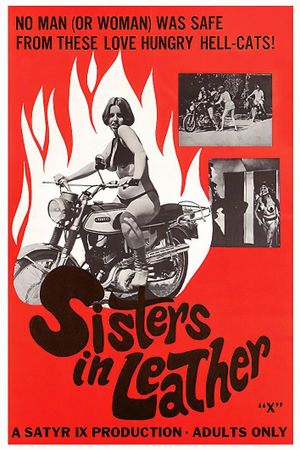 Sisters in Leather's poster