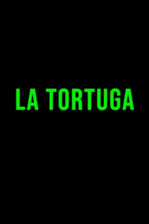 The Turtle's poster