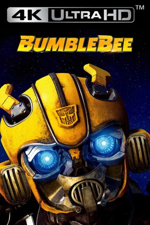 Bumblebee's poster