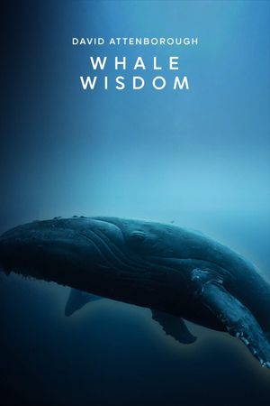 Whale Wisdom's poster
