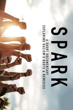 Spark: A Systemic Racism Story's poster
