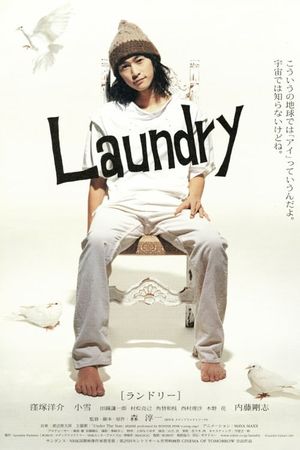 Laundry's poster