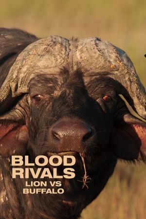 Blood Rivals: Lion vs Buffalo's poster