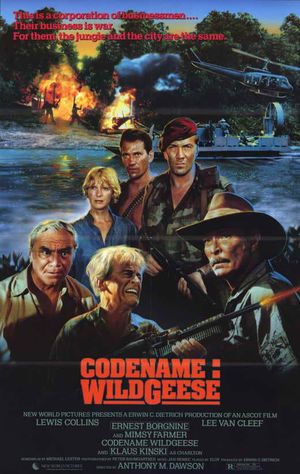 Code Name: Wild Geese's poster