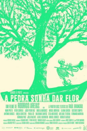 A Pedra Sonha dar Flor's poster