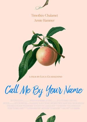 Call Me by Your Name's poster