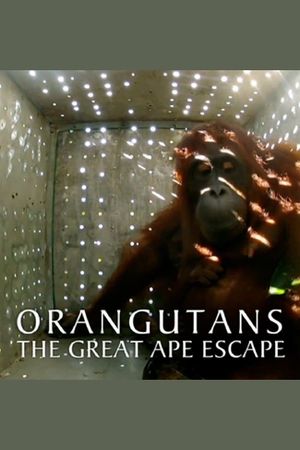 Orangutans: The Great Ape Escape's poster