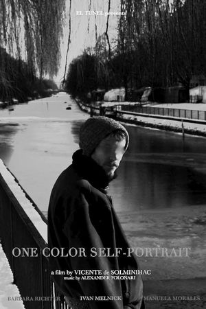 One Color Self-Portrait's poster