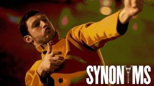 Synonyms's poster
