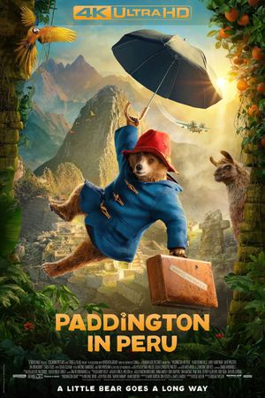 Paddington in Peru's poster