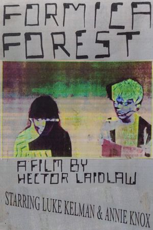 Formica Forest's poster