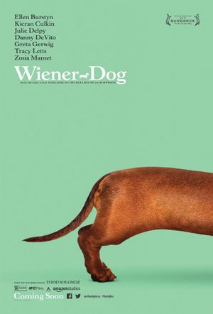 Wiener-Dog's poster