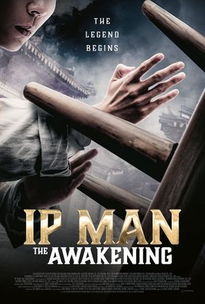 Ip Man: The Awakening's poster